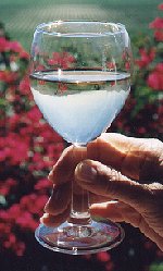 Wine glass