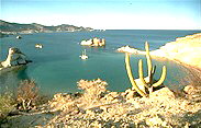 tranquilcove