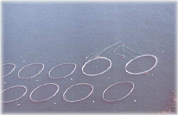 Tuna Pens of Puerto Escondido, south side of Pt Banda